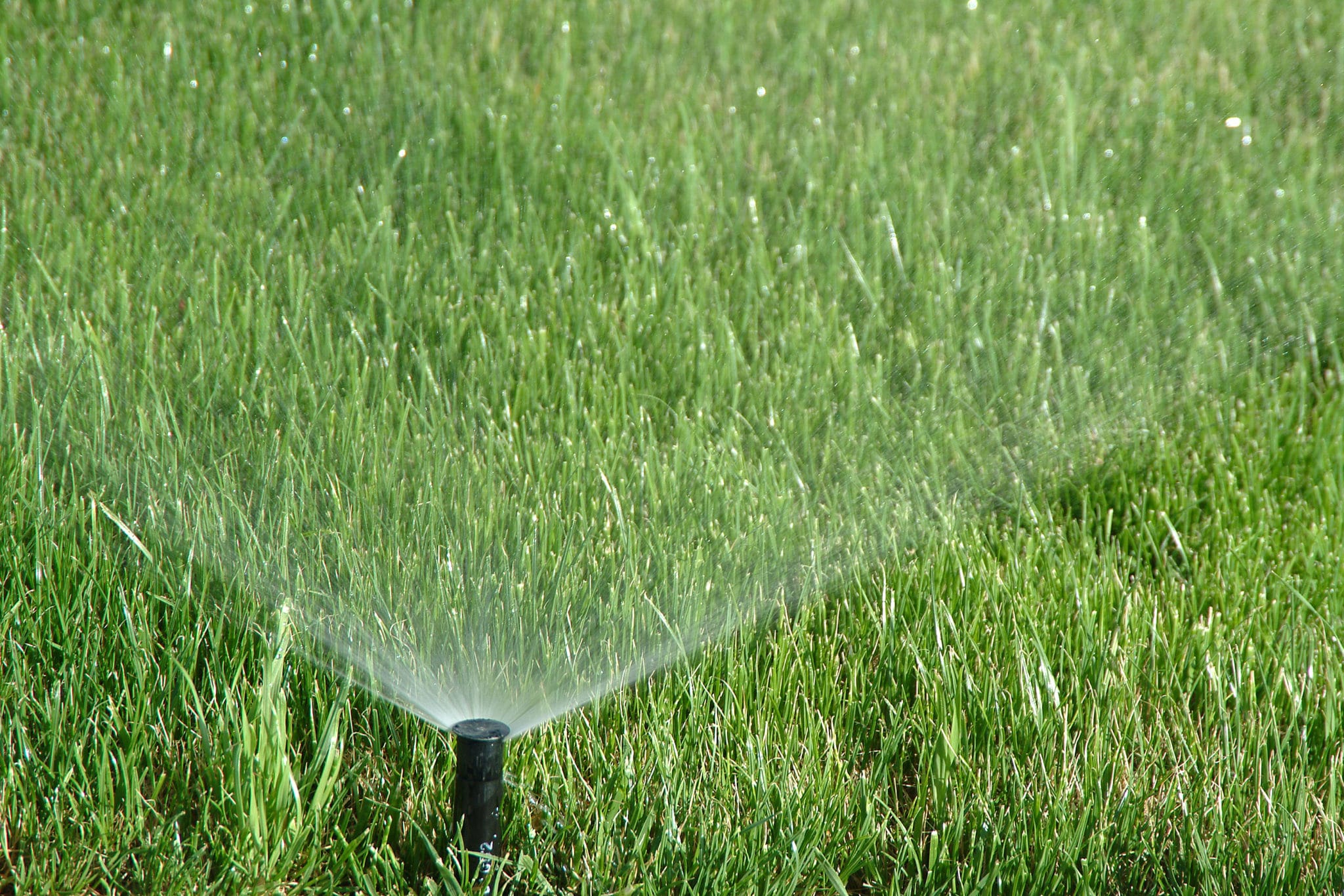 Troubleshooting Common Irrigation Issues Spartan Irrigation Lansing MI