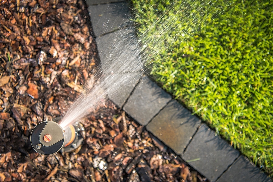 How Irrigation Maintenance Saves You Water & Money