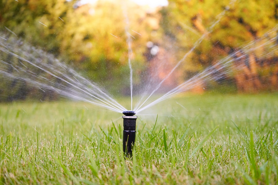 The Risks of Late-Fall Sprinkler Use