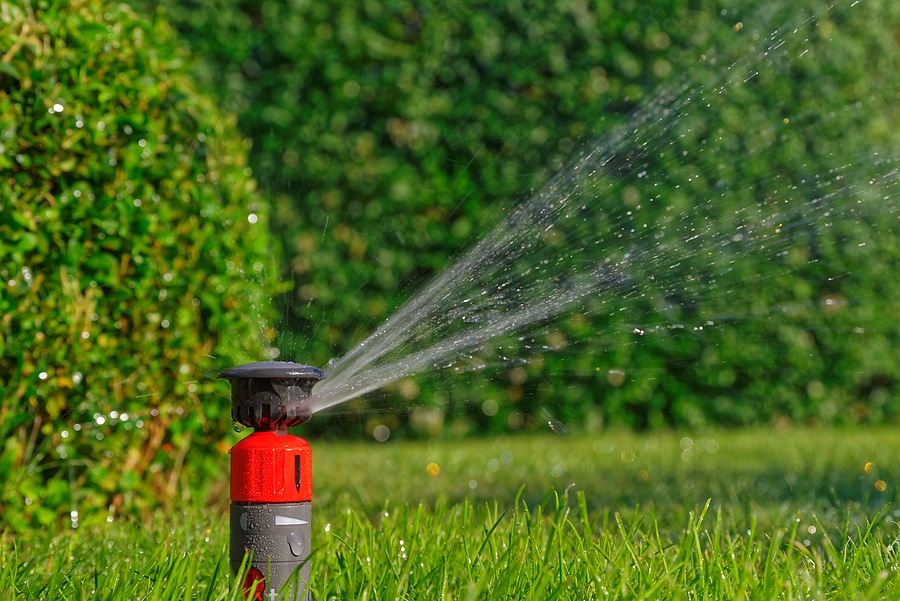 What Should You Do if You Mow Over a Sprinkler Head?